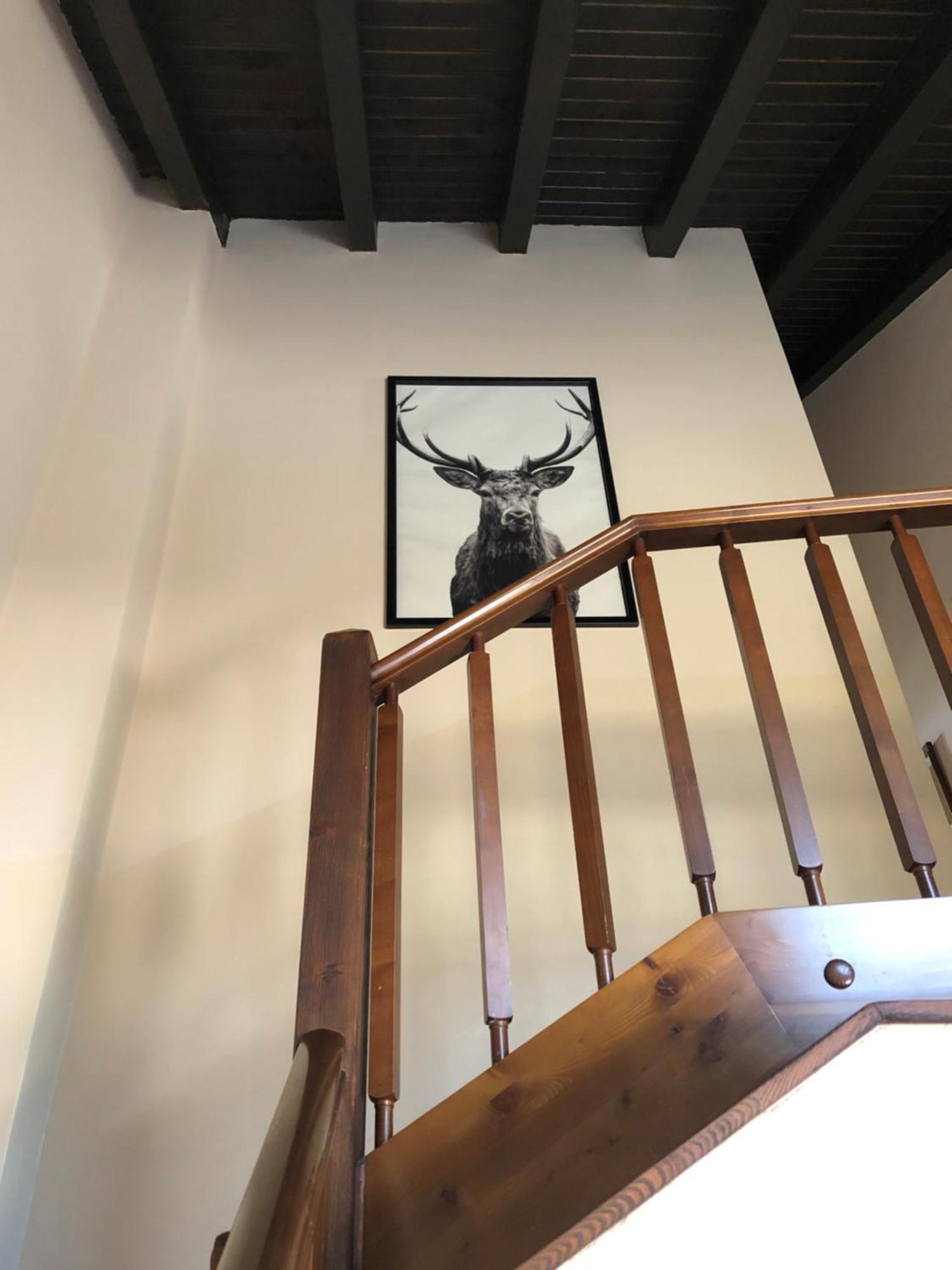 Casa Rural Mollo, Vall De Camprodon מראה חיצוני תמונה