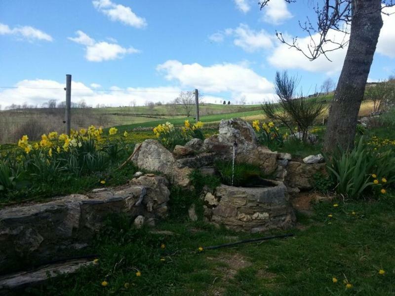 Casa Rural Mollo, Vall De Camprodon מראה חיצוני תמונה